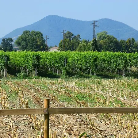 Ginevra's Country * Due Carrare