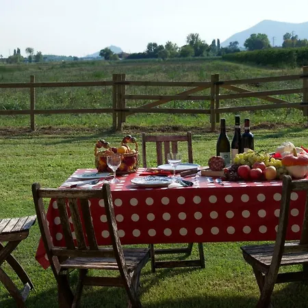 Ginevra's Country * Due Carrare